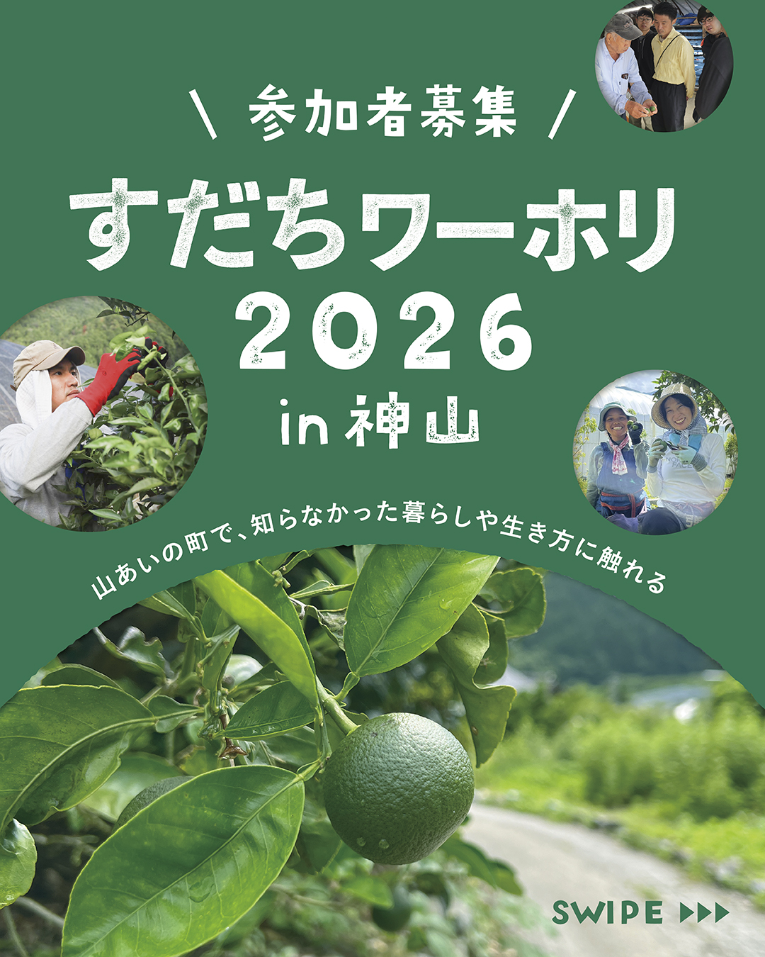8/6まで：参加者募集】すだちワーキングホリデー2026開催🌿 | 東京徳島